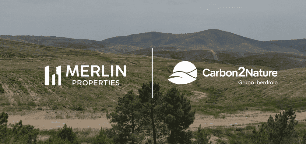 Bosque Merlin