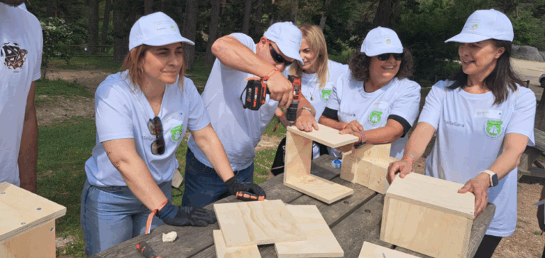 Voluntarios construyendo hoteles para polinizadores