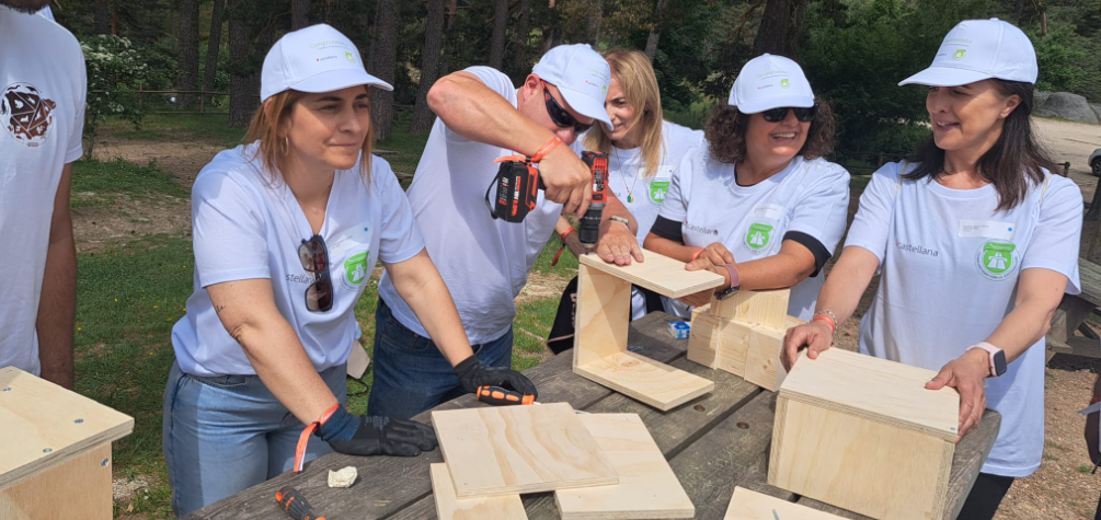 Voluntarios construyendo hoteles para polinizadores
