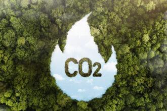 Medición de la huella de carbono, ahora una obligación - Imagen de Stock (Freepik.es)