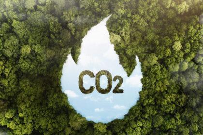 Medición de la huella de carbono, ahora una obligación - Imagen de Stock (Freepik.es)