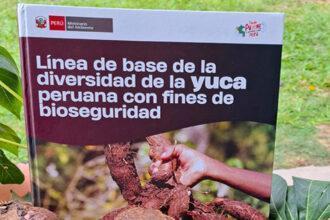 Minam presenta investigación sobre la conservación de la yuca