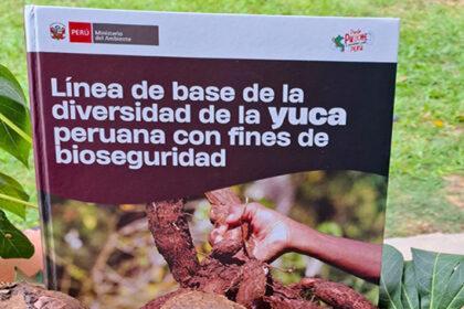Minam presenta investigación sobre la conservación de la yuca