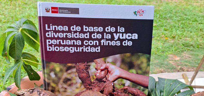 Minam presenta investigación sobre la conservación de la yuca