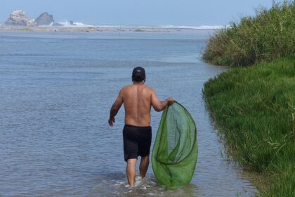 Proyecto de repoblamiento de camarones en distrito de Huáncano