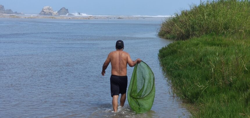 Proyecto de repoblamiento de camarones en distrito de Huáncano