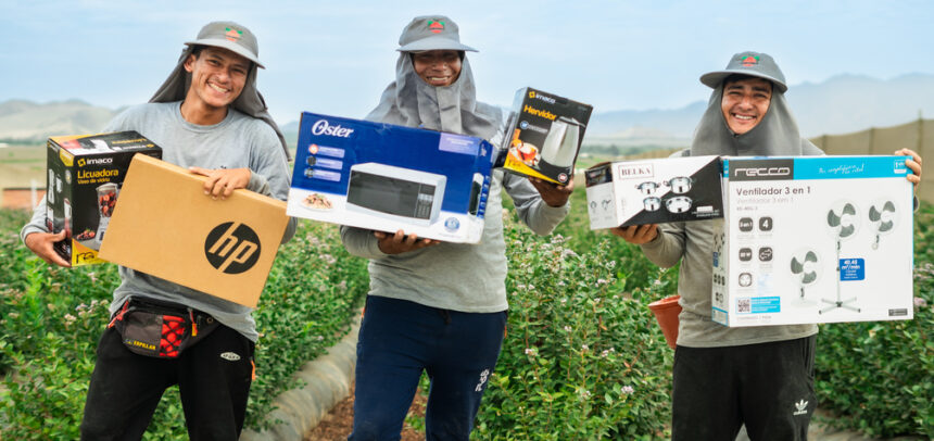 Reconocimiento con impacto: más de 40 mil trabajadores del agro mejoran su calidad de vida con programa de fidelización