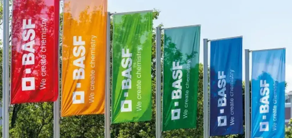 Grupo BASF en España