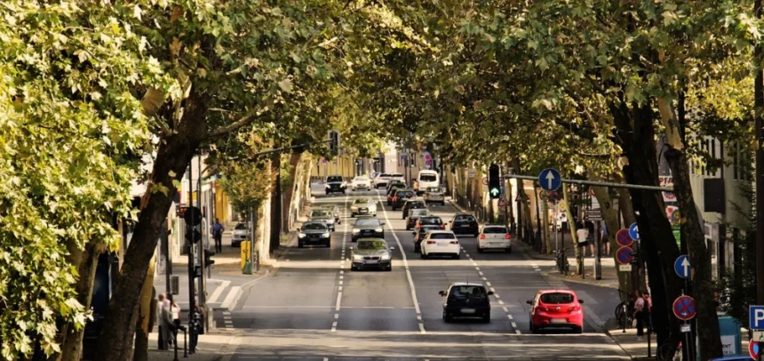 Los farmacéuticos aconsejan reducir las comidas, no leer durante el trayecto y evitar los cambios bruscos de velocidad para prevenir los mareos estas vacaciones