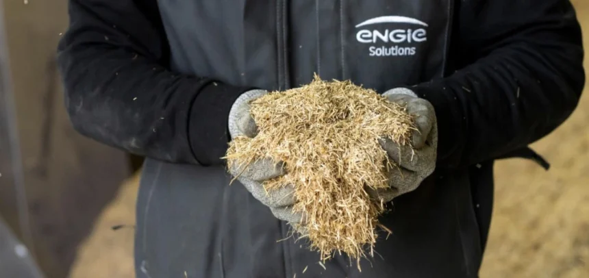 ENGIE cuenta con la certificación SURE en sus proyectos con KAO, Alier y Txantrea, por su sostenibilidad gracias al uso de biomasa