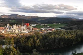 Ence cumple los objetivos de sostenibilidad vinculados a su programa de pagarés con límite de 200 millones