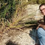 Luis Felipe Fernández, Director Gerente de ECOLAGUNAS