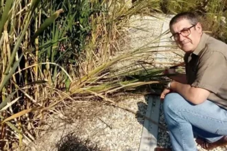 Luis Felipe Fernández, Director Gerente de ECOLAGUNAS