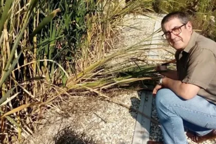 Luis Felipe Fernández, Director Gerente de ECOLAGUNAS
