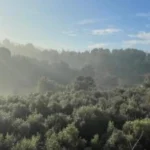 La Fundació Catalunya La Pedrera i L’Olivera se alían para recuperar el mosaico agroforestal en Collserola