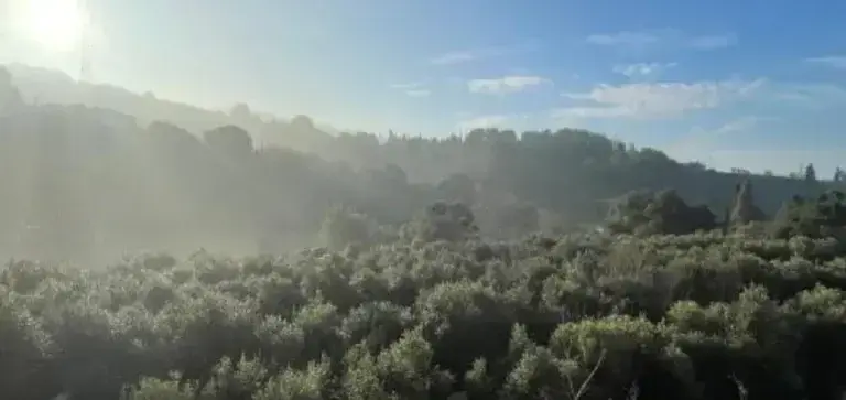 La Fundació Catalunya La Pedrera i L’Olivera se alían para recuperar el mosaico agroforestal en Collserola