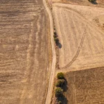 El sector agrícola será el más afectado por la sequía, según un experto de VIU