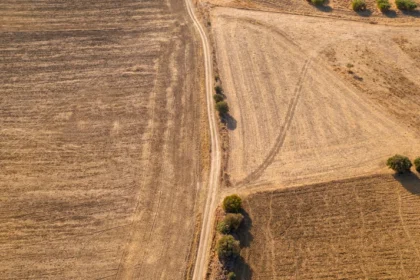 El sector agrícola será el más afectado por la sequía, según un experto de VIU