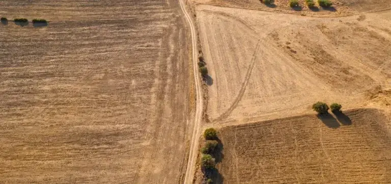 El sector agrícola será el más afectado por la sequía, según un experto de VIU