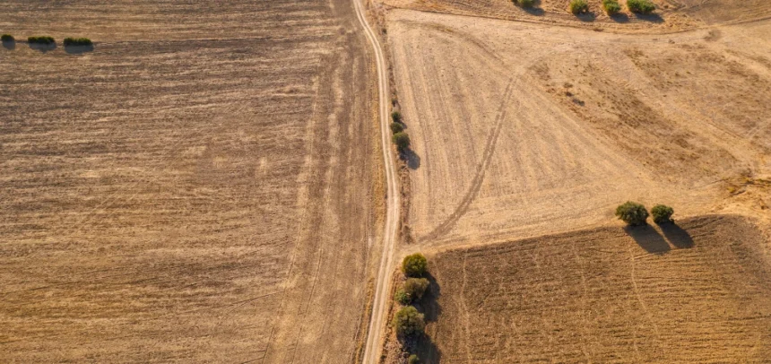 El sector agrícola será el más afectado por la sequía, según un experto de VIU