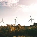 BBVA aumenta un 20% la asignación de bonos verdes durante 2024