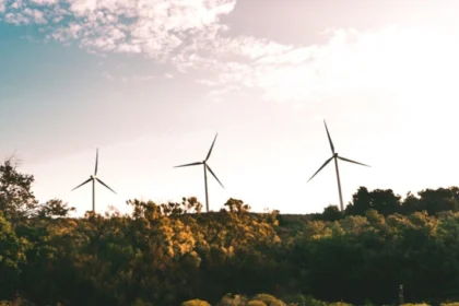 BBVA aumenta un 20% la asignación de bonos verdes durante 2024