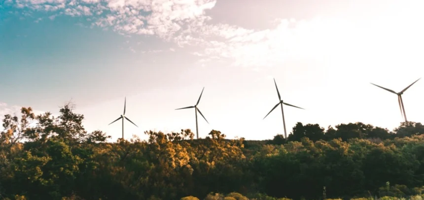 BBVA aumenta un 20% la asignación de bonos verdes durante 2024