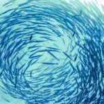 UGI y su enfoque integral para recuperar los ecosistemas marinos del Mediterráneo, clave ante el cambio climático
