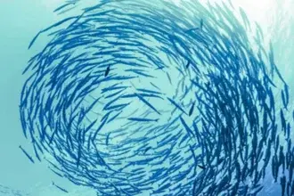 UGI y su enfoque integral para recuperar los ecosistemas marinos del Mediterráneo, clave ante el cambio climático