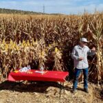 Explicación de Preceon en la finca demostrativa de Bayer en Villagonzalo (Badajoz)