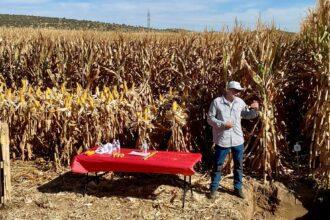 Explicación de Preceon en la finca demostrativa de Bayer en Villagonzalo (Badajoz)