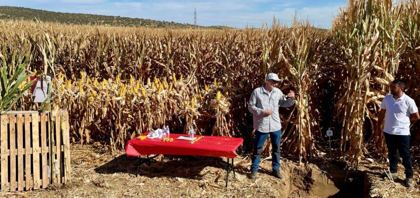Explicación de Preceon en la finca demostrativa de Bayer en Villagonzalo (Badajoz)