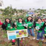 Minam realiza campaña para resaltar la importancia de los árboles en las ciudades
