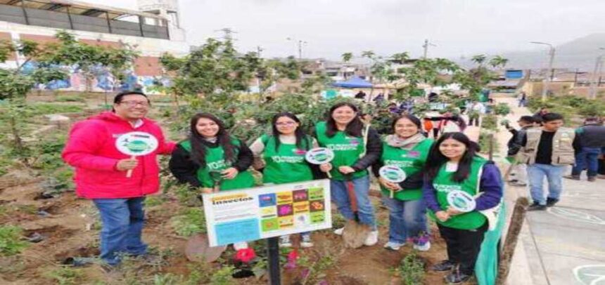 Minam realiza campaña para resaltar la importancia de los árboles en las ciudades