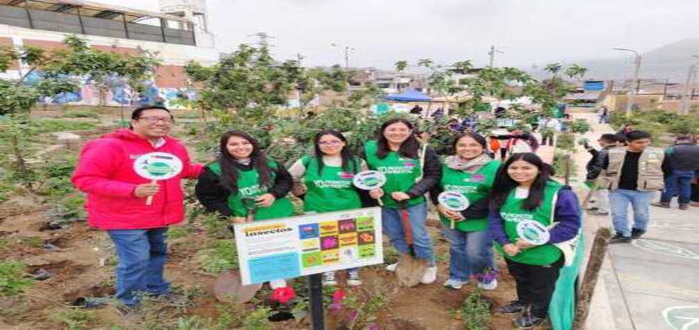 Minam realiza campaña para resaltar la importancia de los árboles en las ciudades