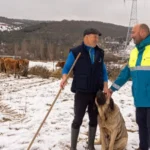 La Unión Internacional para la Conservación de la Naturaleza incluye la iniciativa española en su publicación ‘Aplicando el Estándar Global de la UICN para Soluciones Basadas en la Naturaleza’