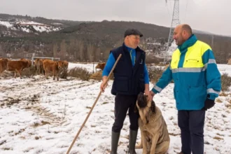 La Unión Internacional para la Conservación de la Naturaleza incluye la iniciativa española en su publicación ‘Aplicando el Estándar Global de la UICN para Soluciones Basadas en la Naturaleza’