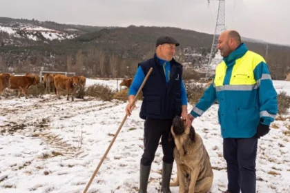 La Unión Internacional para la Conservación de la Naturaleza incluye la iniciativa española en su publicación ‘Aplicando el Estándar Global de la UICN para Soluciones Basadas en la Naturaleza’