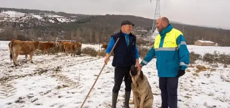 La Unión Internacional para la Conservación de la Naturaleza incluye la iniciativa española en su publicación ‘Aplicando el Estándar Global de la UICN para Soluciones Basadas en la Naturaleza’
