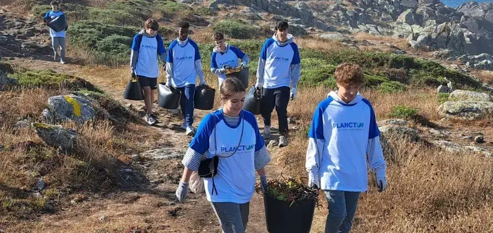 Estudiantes y profesorado de la UIE retiran cuatro toneladas y media de uña de gato del entorno del Faro de Corrubedo