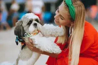Mañana, 6 de septiembre, desfile solidario de perros en Tenerife de la mano de Purina y Tu Trébol - Imagen de Stock (senivpetro en Freepik.es)