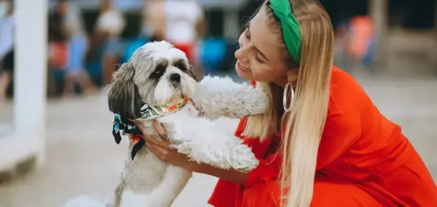 Mañana, 6 de septiembre, desfile solidario de perros en Tenerife de la mano de Purina y Tu Trébol - Imagen de Stock (senivpetro en Freepik.es)