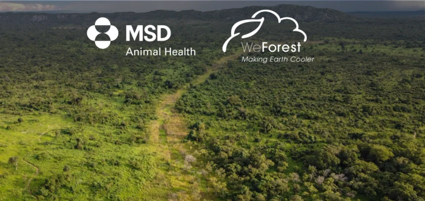 Imagen cedida por WeForest y MSD Animal Health