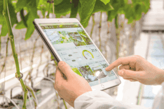 Tecnología busca recuperar cultivos que hoy se pierden en la región