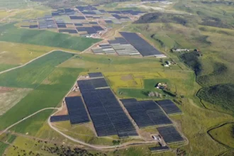 Planta solar- Imagen cedida por Endesa