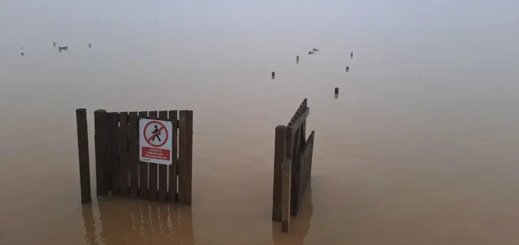 Imagen de l'Albufera tras la DANA