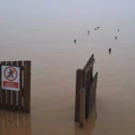 Imagen de l'Albufera tras la DANA