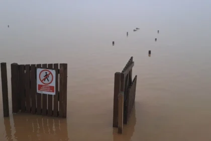 Imagen de l'Albufera tras la DANA