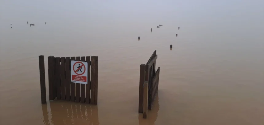 Imagen de l'Albufera tras la DANA