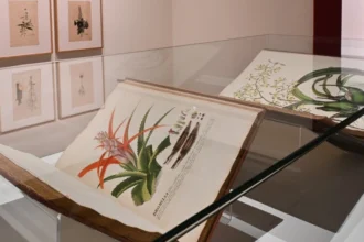 Imagen cedida por Fundación Telefónica de la exposición "El sueño de la razón"